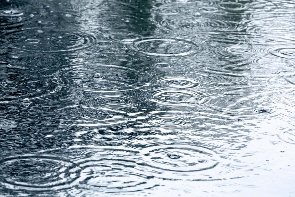 Why is rain important? – Blog | Fulton Umbrellas